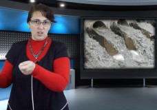 Вчені досліджують, як можна повторно використовувати стічні води